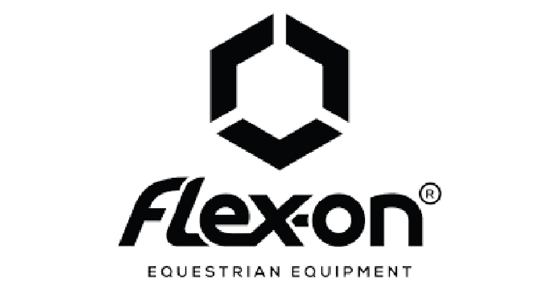 logo flexon