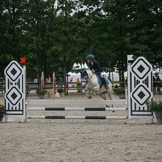 un petit poney gris et sa cavalière qui sautent un obstacle